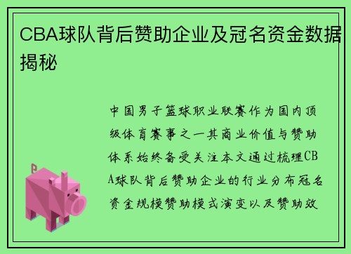 CBA球队背后赞助企业及冠名资金数据揭秘